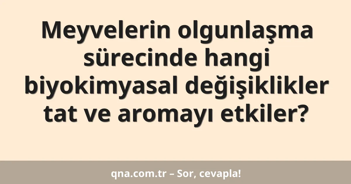 Meyvelerin olgunlaşma sürecinde hangi biyokimyasal değişiklikler tat ve aromayı etkiler?