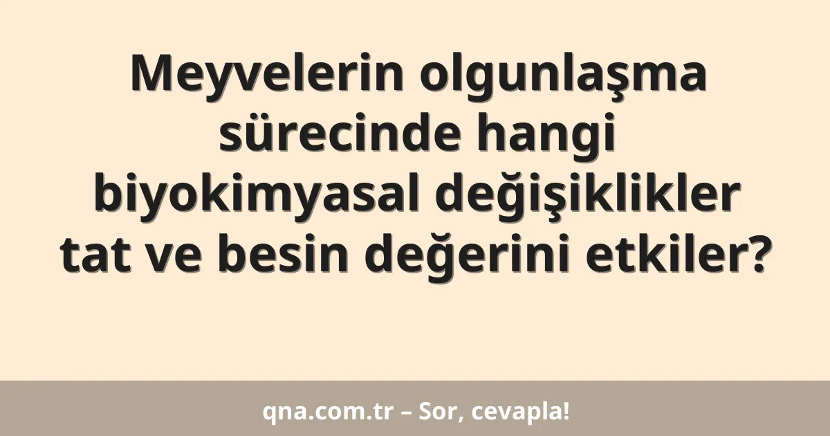 Meyvelerin olgunlaşma sürecinde hangi biyokimyasal değişiklikler tat ve besin değerini etkiler?
