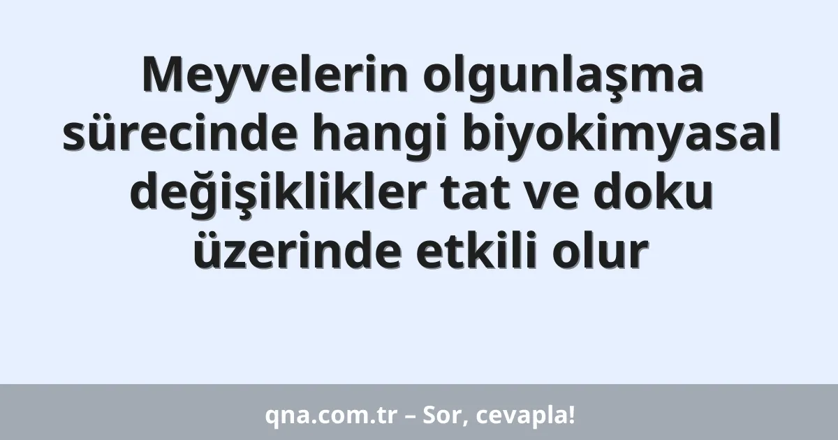 Meyvelerin olgunlaşma sürecinde hangi biyokimyasal değişiklikler tat ve doku üzerinde etkili olur