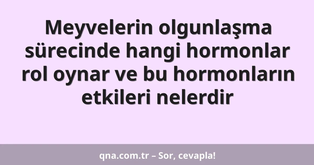 Meyvelerin olgunlaşma sürecinde hangi hormonlar rol oynar ve bu hormonların etkileri nelerdir