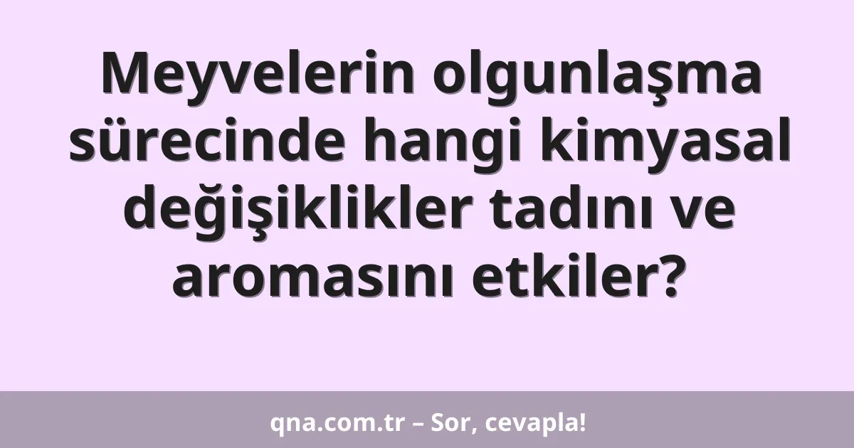 Meyvelerin olgunlaşma sürecinde hangi kimyasal değişiklikler tadını ve aromasını etkiler?