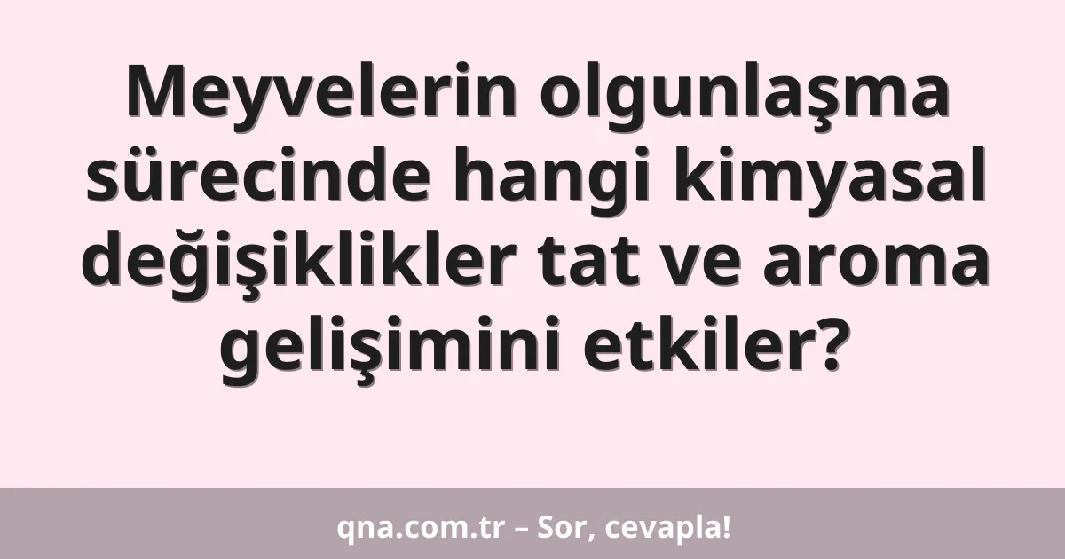 Meyvelerin olgunlaşma sürecinde hangi kimyasal değişiklikler tat ve aroma gelişimini etkiler?