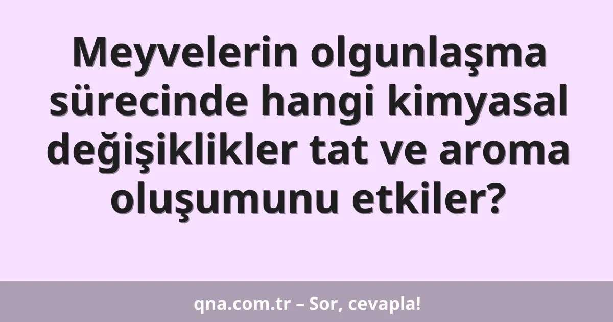 Meyvelerin olgunlaşma sürecinde hangi kimyasal değişiklikler tat ve aroma oluşumunu etkiler?