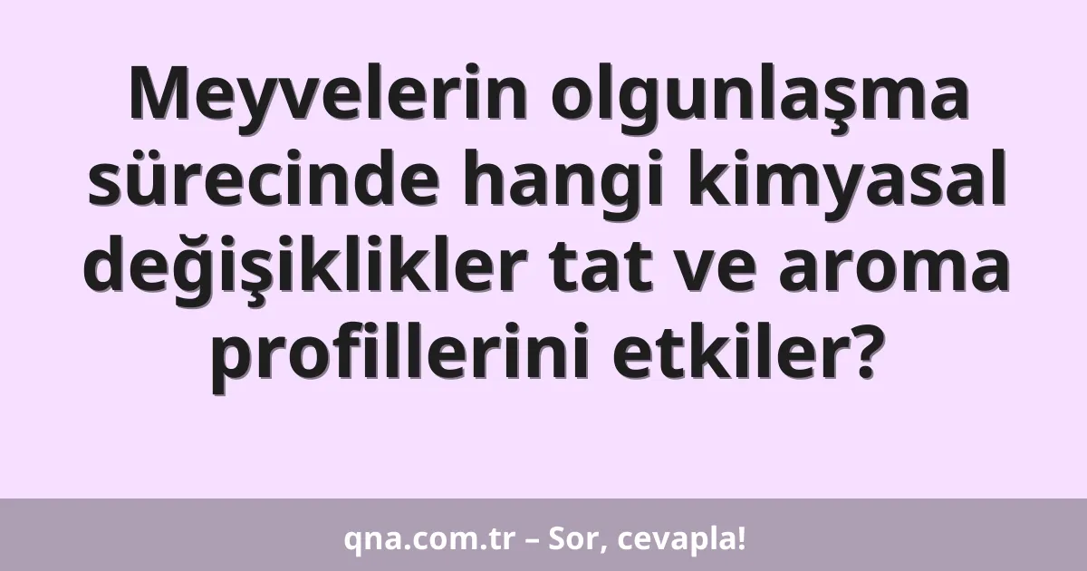 Meyvelerin olgunlaşma sürecinde hangi kimyasal değişiklikler tat ve aroma profillerini etkiler?