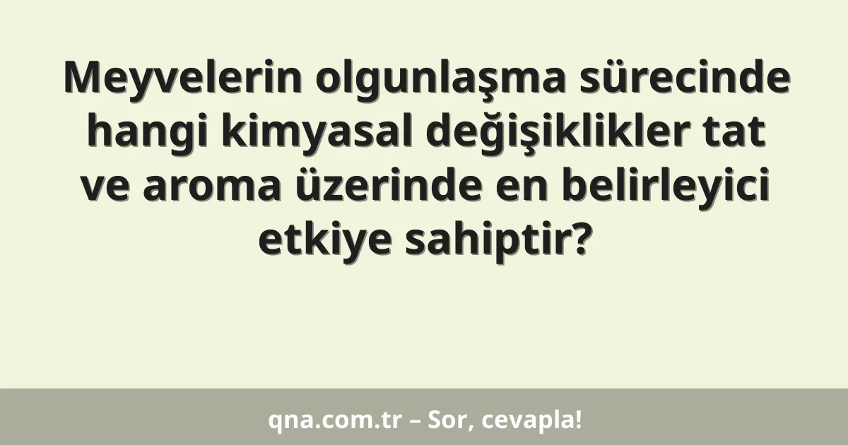 Meyvelerin olgunlaşma sürecinde hangi kimyasal değişiklikler tat ve aroma üzerinde en belirleyici etkiye sahiptir?