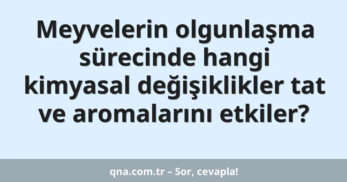 Meyvelerin olgunlaşma sürecinde hangi kimyasal değişiklikler tat ve aromalarını etkiler?