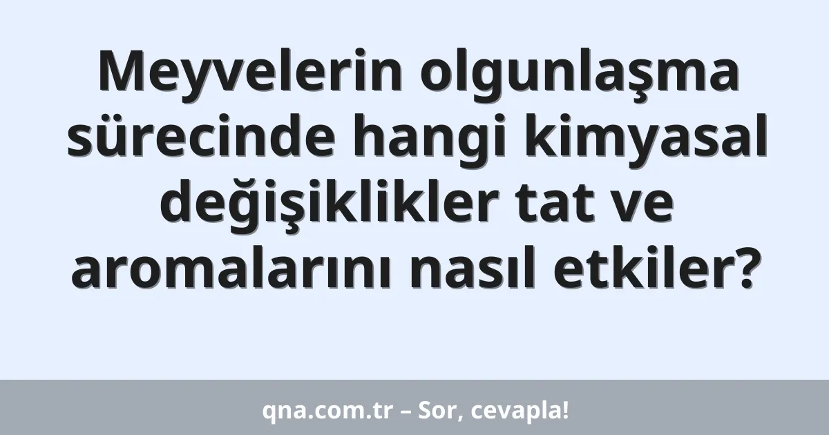 Meyvelerin olgunlaşma sürecinde hangi kimyasal değişiklikler tat ve aromalarını nasıl etkiler?