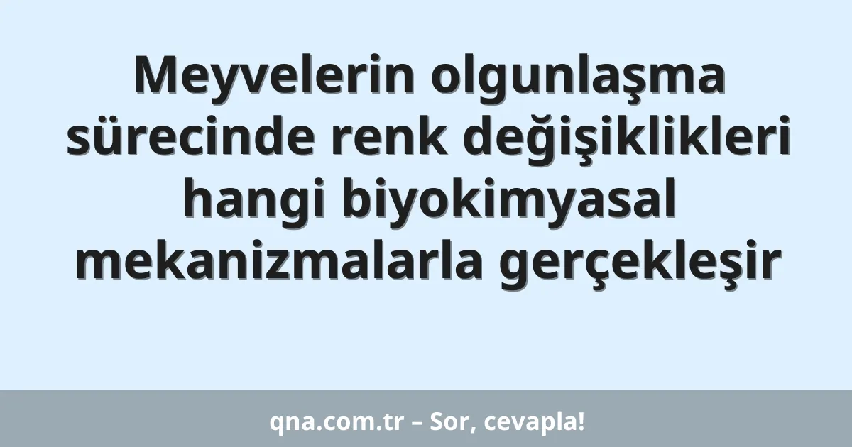 Meyvelerin olgunlaşma sürecinde renk değişiklikleri hangi biyokimyasal mekanizmalarla gerçekleşir