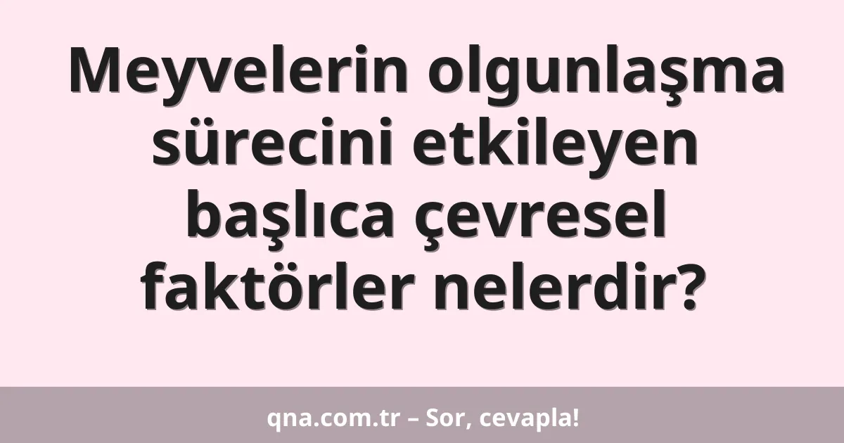 Meyvelerin olgunlaşma sürecini etkileyen başlıca çevresel faktörler nelerdir?