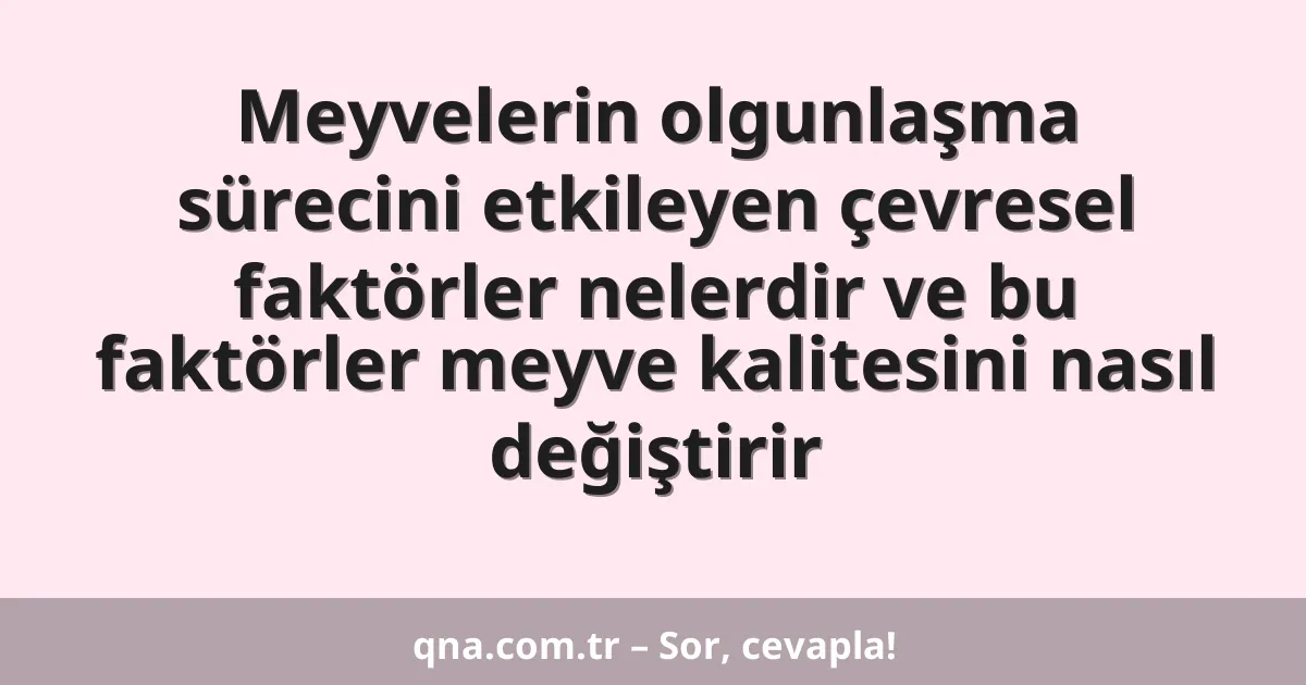 Meyvelerin olgunlaşma sürecini etkileyen çevresel faktörler nelerdir ve bu faktörler meyve kalitesini nasıl değiştirir