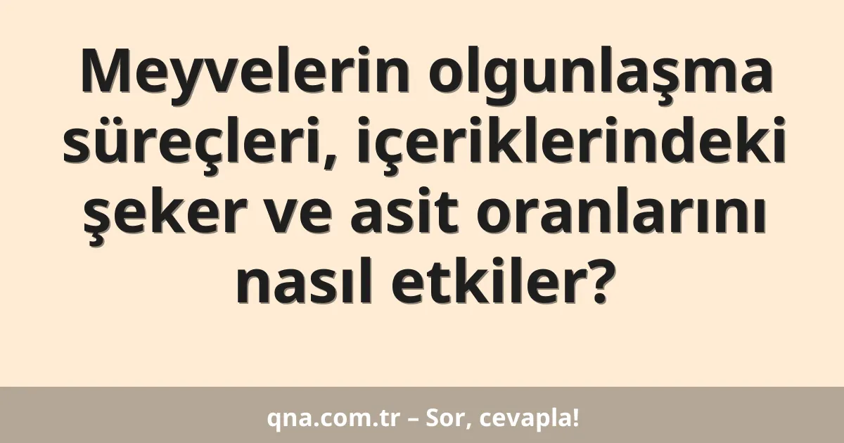 Meyvelerin olgunlaşma süreçleri, içeriklerindeki şeker ve asit oranlarını nasıl etkiler?