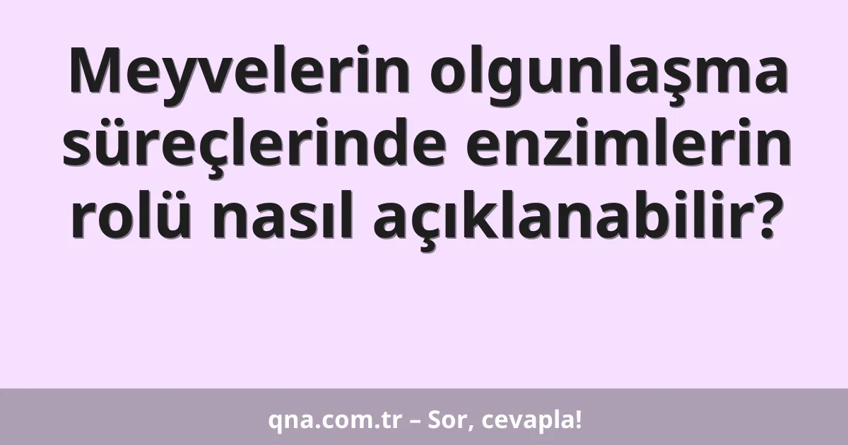 Meyvelerin olgunlaşma süreçlerinde enzimlerin rolü nasıl açıklanabilir?