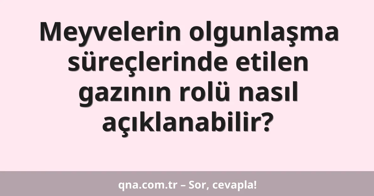 Meyvelerin olgunlaşma süreçlerinde etilen gazının rolü nasıl açıklanabilir?