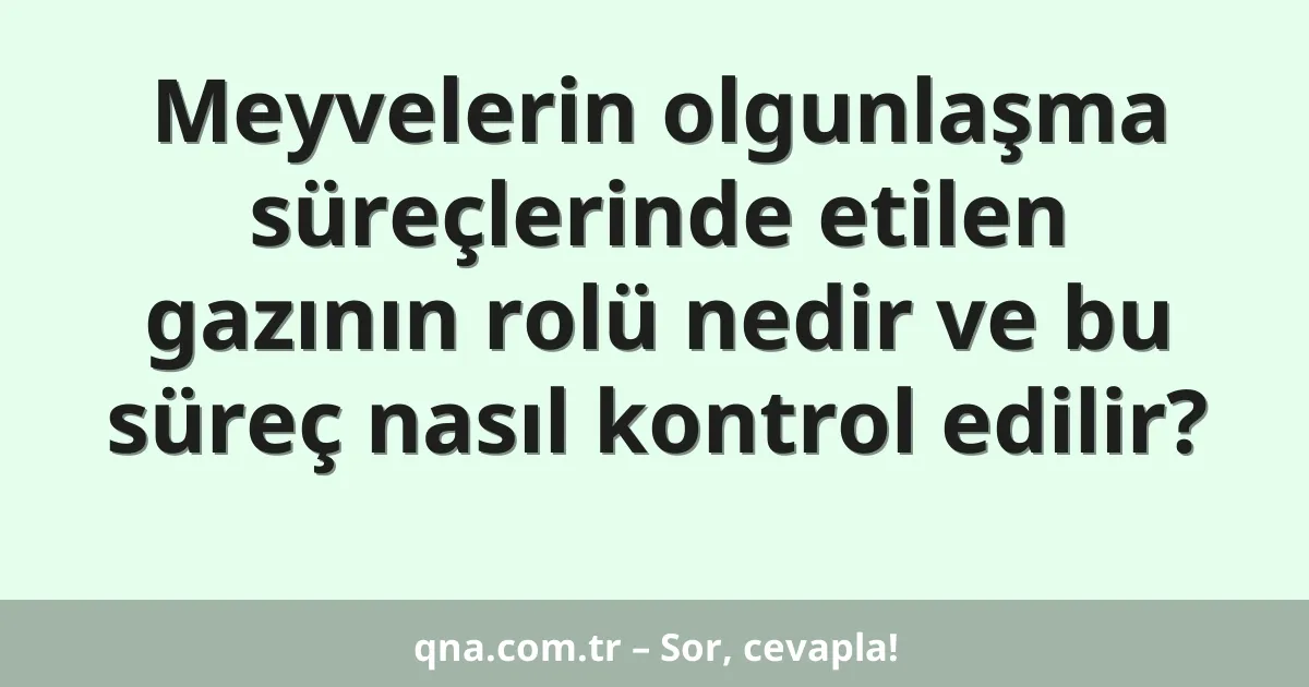Meyvelerin olgunlaşma süreçlerinde etilen gazının rolü nedir ve bu süreç nasıl kontrol edilir?