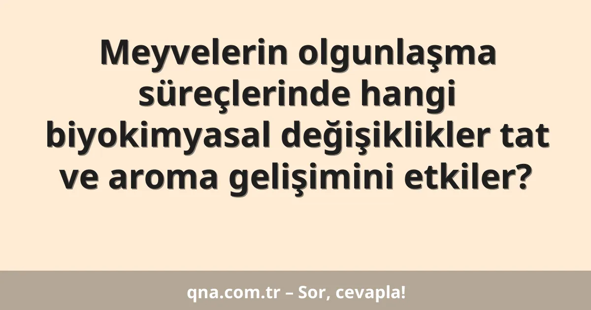 Meyvelerin olgunlaşma süreçlerinde hangi biyokimyasal değişiklikler tat ve aroma gelişimini etkiler?