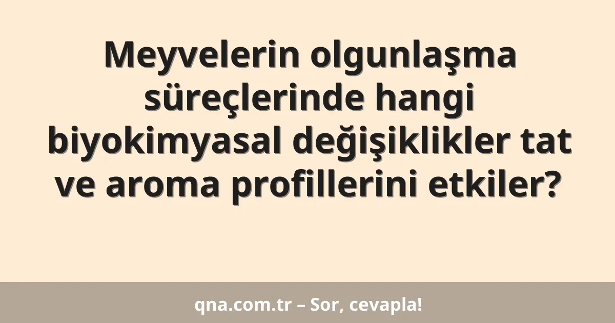 Meyvelerin olgunlaşma süreçlerinde hangi biyokimyasal değişiklikler tat ve aroma profillerini etkiler?