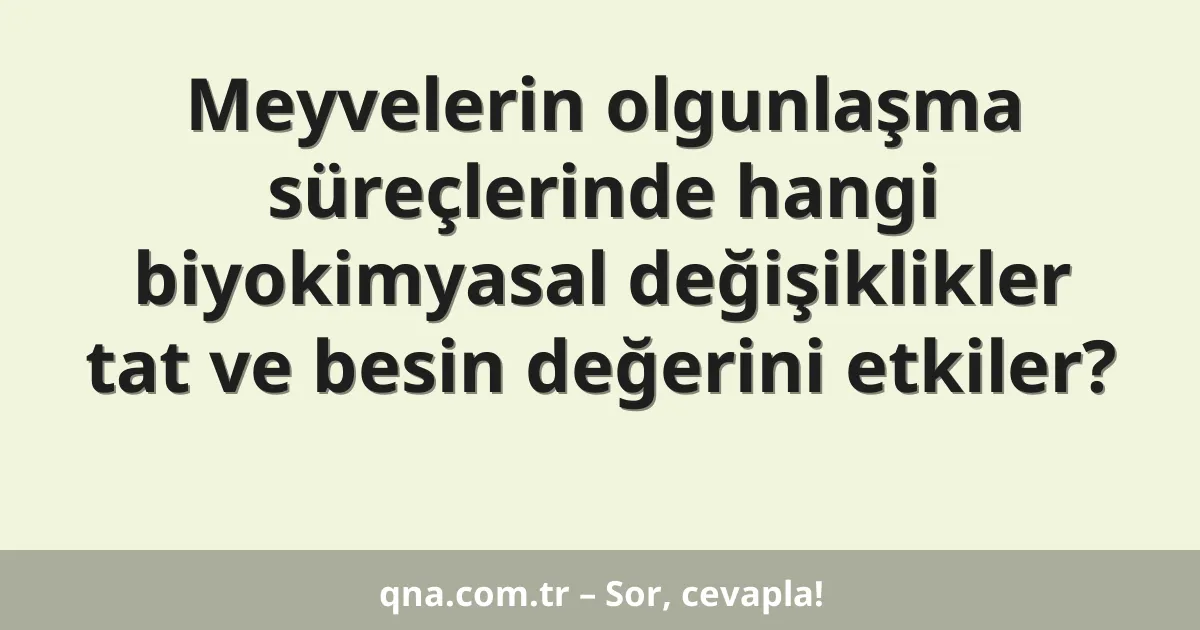Meyvelerin olgunlaşma süreçlerinde hangi biyokimyasal değişiklikler tat ve besin değerini etkiler?