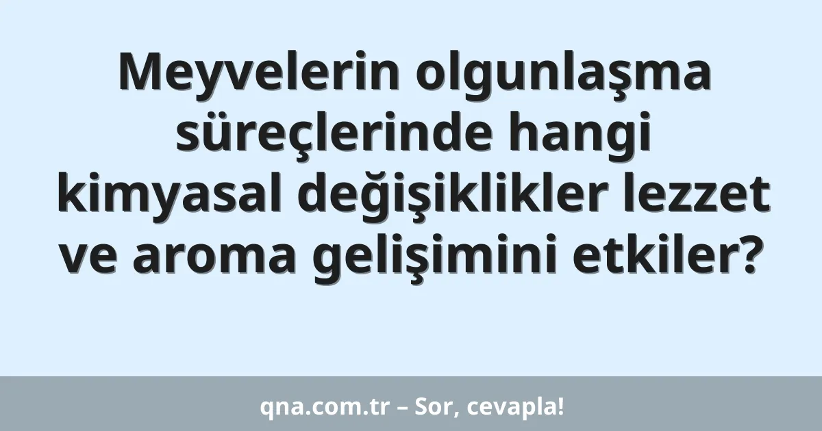 Meyvelerin olgunlaşma süreçlerinde hangi kimyasal değişiklikler lezzet ve aroma gelişimini etkiler?