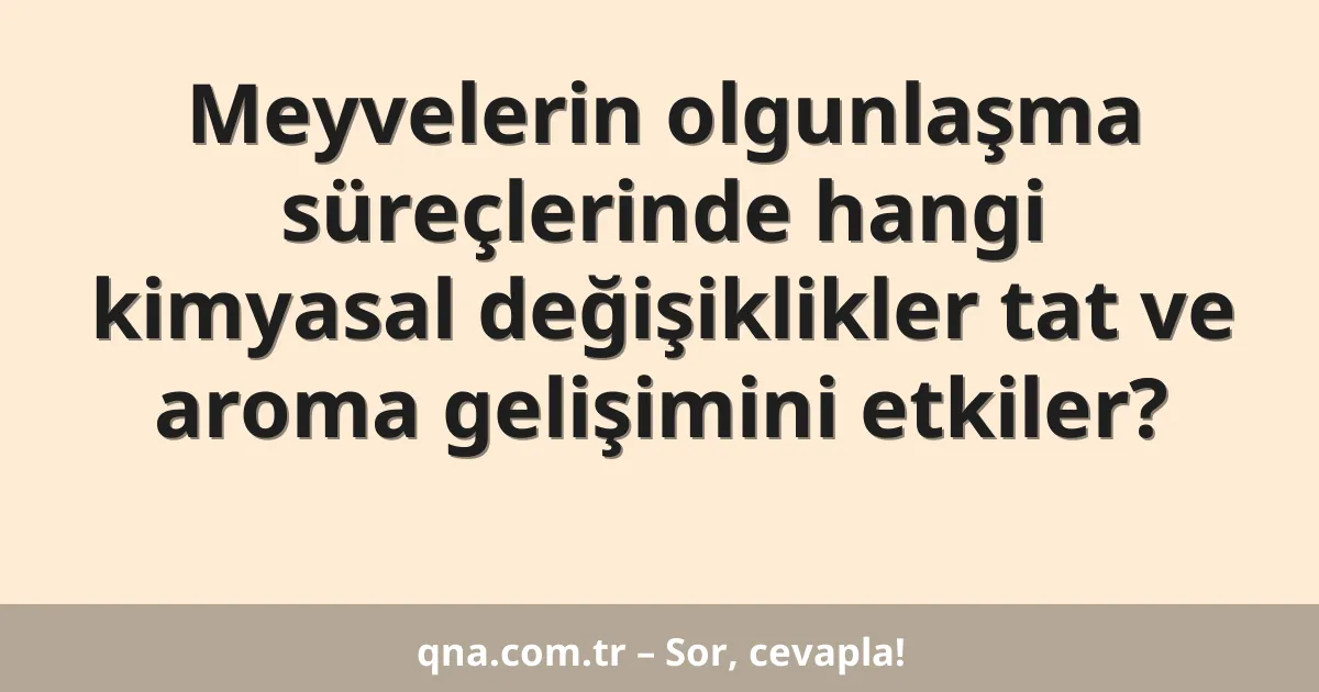 Meyvelerin olgunlaşma süreçlerinde hangi kimyasal değişiklikler tat ve aroma gelişimini etkiler?