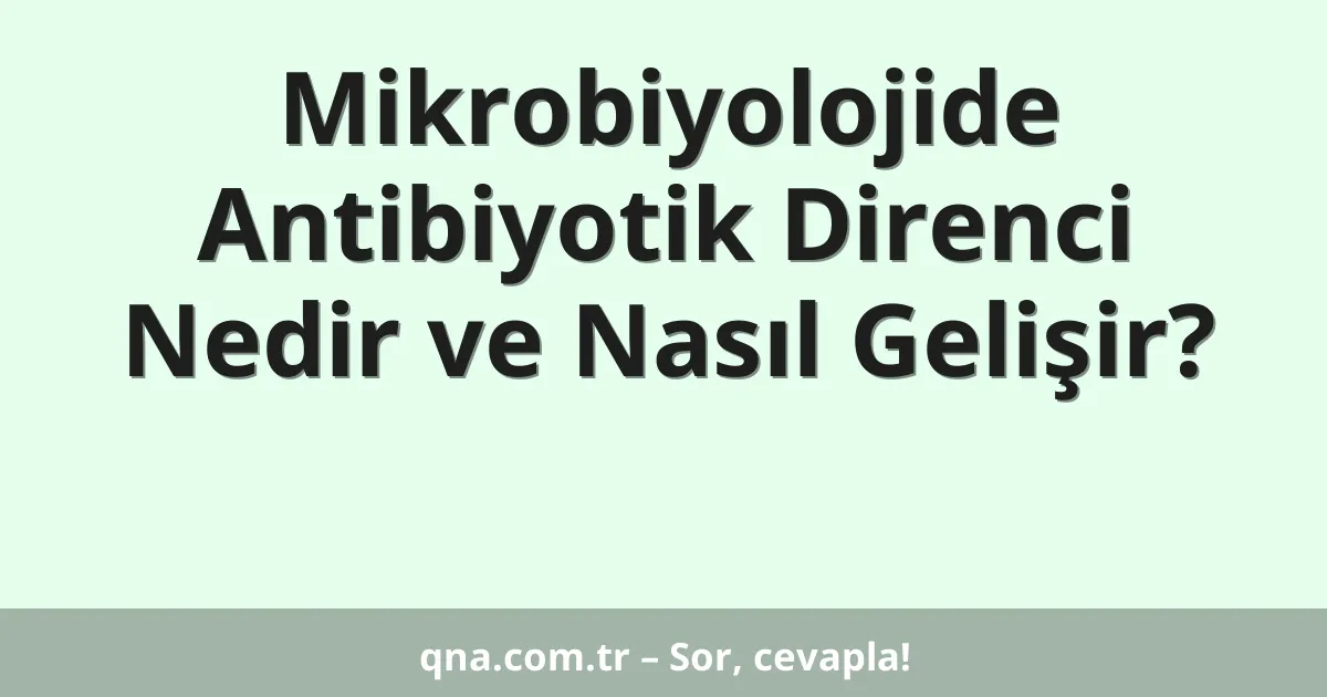 Mikrobiyolojide Antibiyotik Direnci Nedir ve Nasıl Gelişir?
