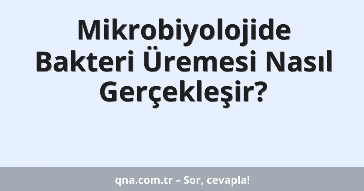 Mikrobiyolojide Bakteri Üremesi Nasıl Gerçekleşir?