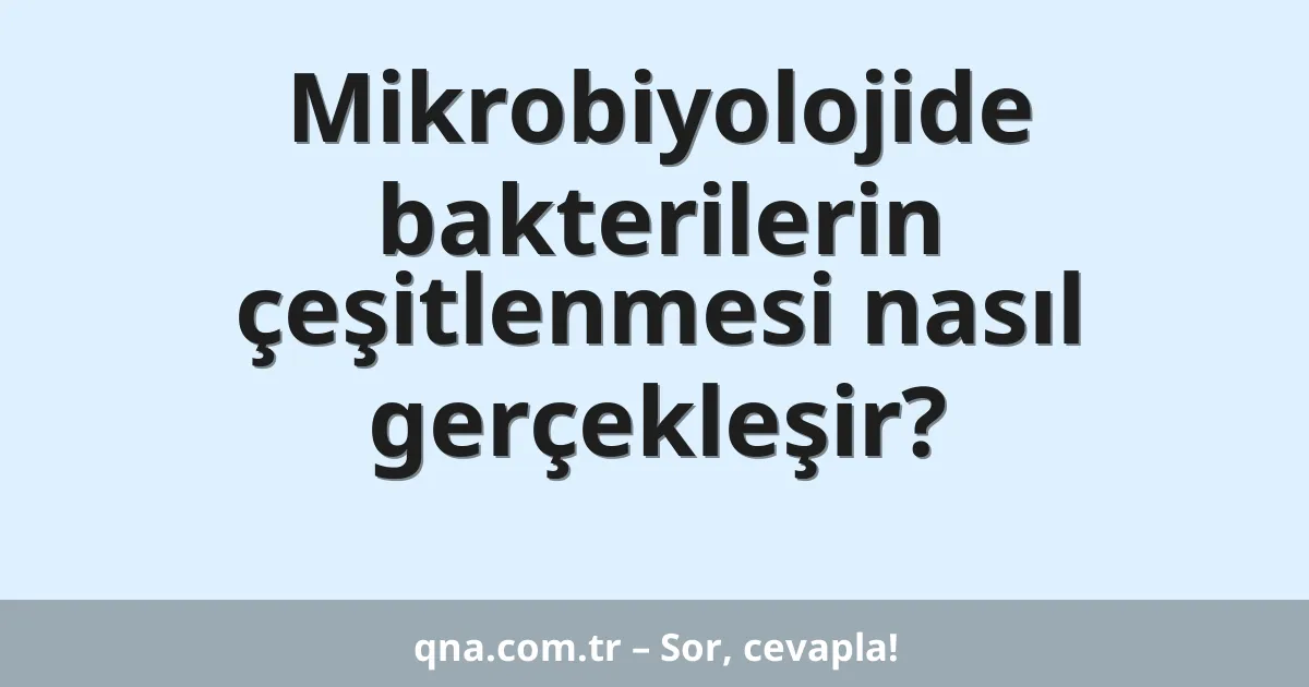 Mikrobiyolojide bakterilerin çeşitlenmesi nasıl gerçekleşir?