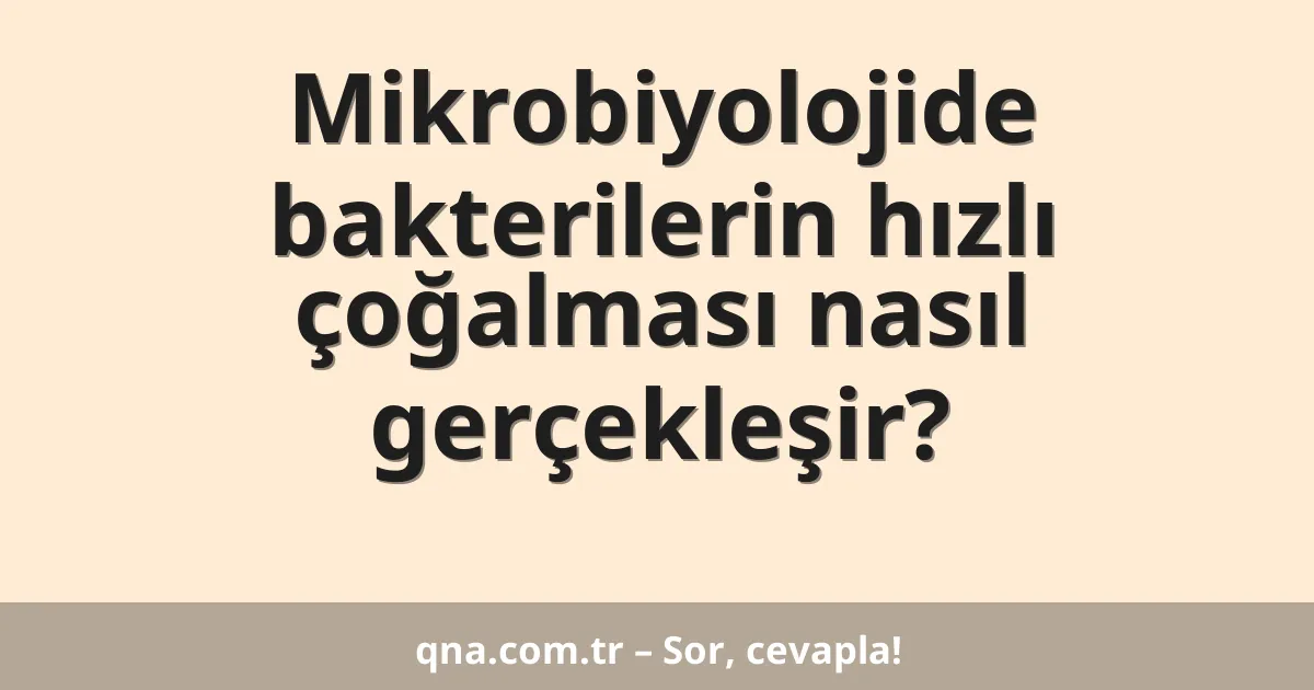 Mikrobiyolojide bakterilerin hızlı çoğalması nasıl gerçekleşir?