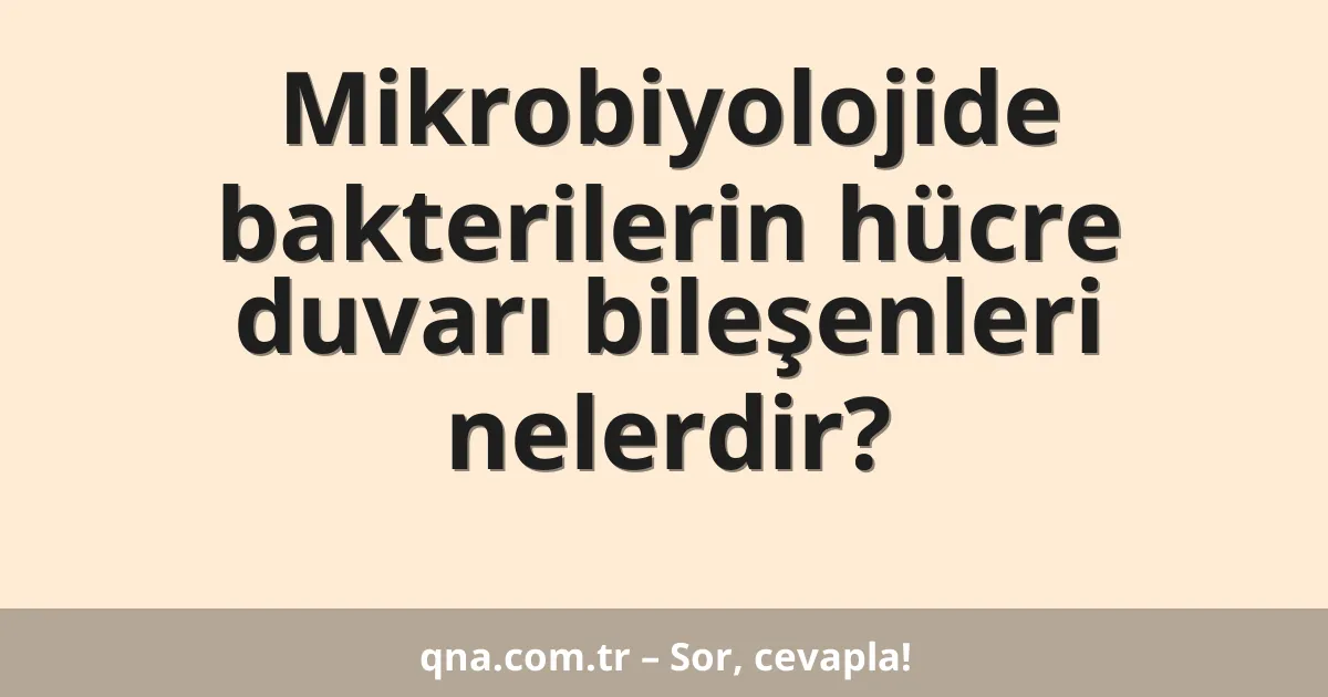 Mikrobiyolojide bakterilerin hücre duvarı bileşenleri nelerdir?