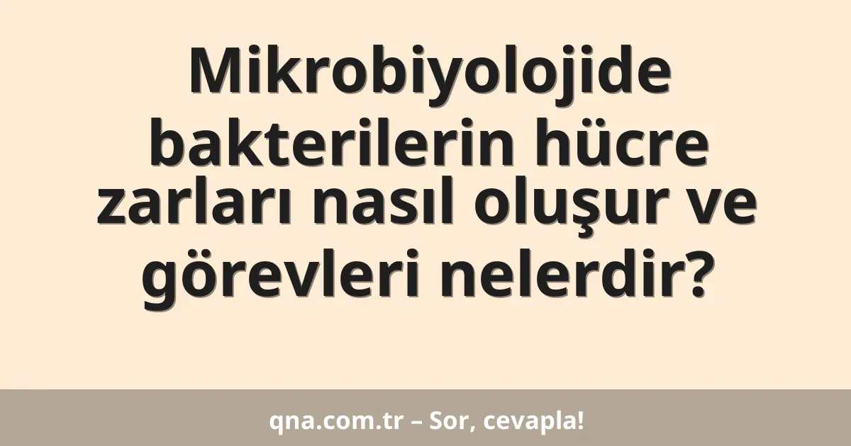 Mikrobiyolojide bakterilerin hücre zarları nasıl oluşur ve görevleri nelerdir?