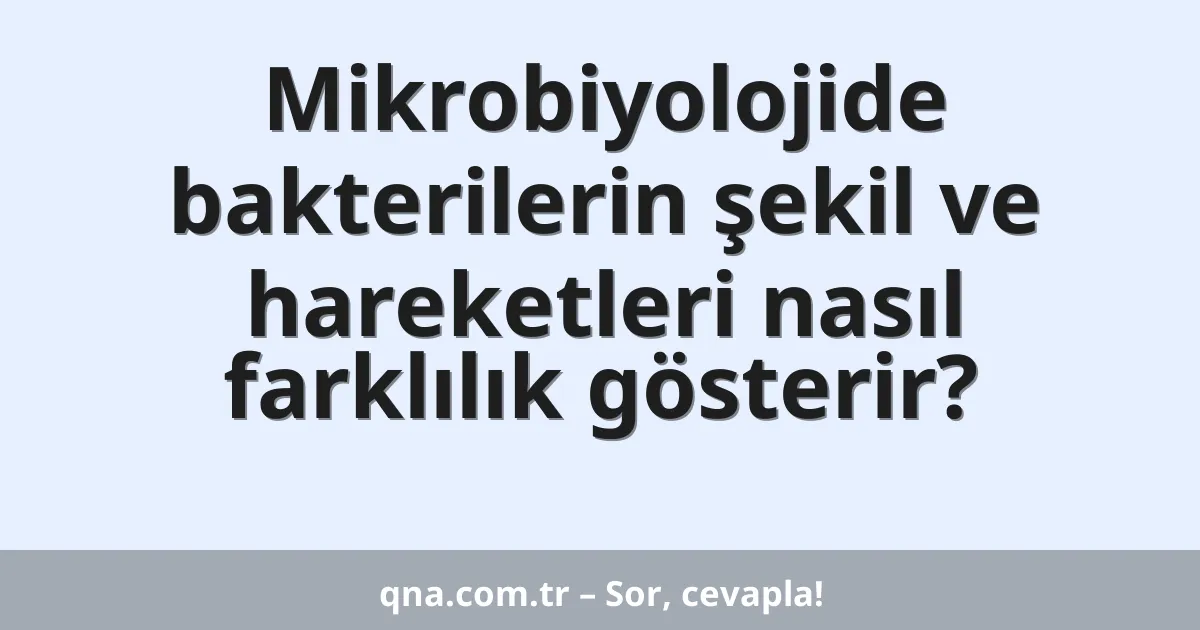 Mikrobiyolojide bakterilerin şekil ve hareketleri nasıl farklılık gösterir?