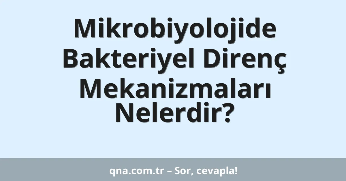 Mikrobiyolojide Bakteriyel Direnç Mekanizmaları Nelerdir?