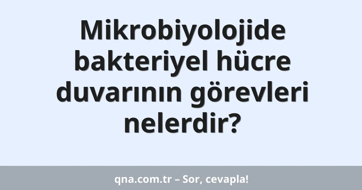 Mikrobiyolojide bakteriyel hücre duvarının görevleri nelerdir?