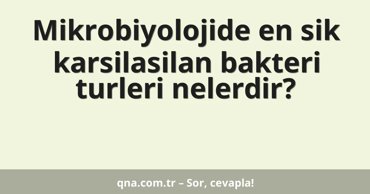 Mikrobiyolojide en sik karsilasilan bakteri turleri nelerdir?