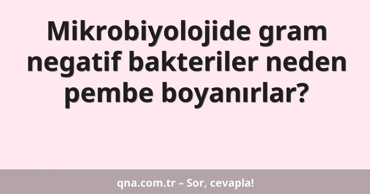 Mikrobiyolojide gram negatif bakteriler neden pembe boyanırlar?