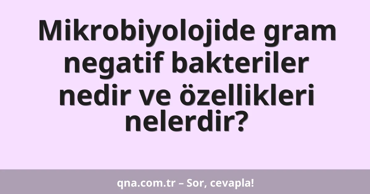 Mikrobiyolojide gram negatif bakteriler nedir ve özellikleri nelerdir?