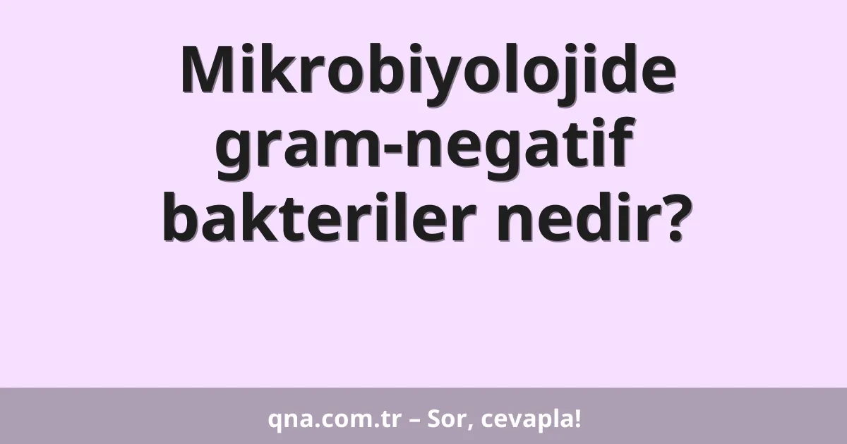 Mikrobiyolojide gram-negatif bakteriler nedir?