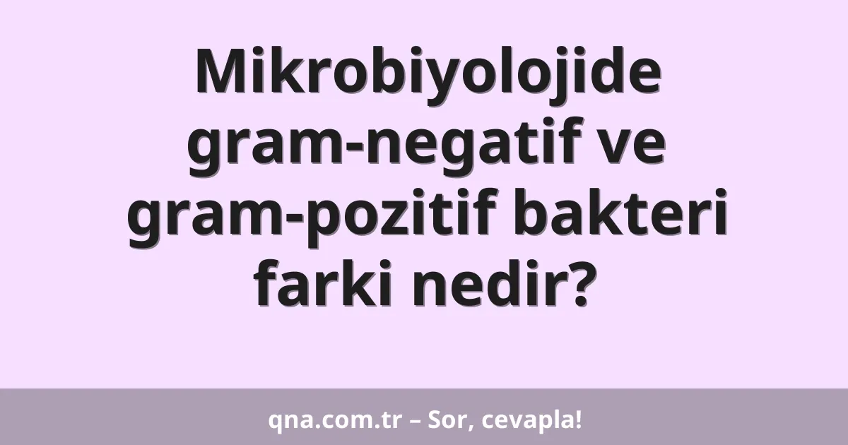 Mikrobiyolojide gram-negatif ve gram-pozitif bakteri farki nedir?