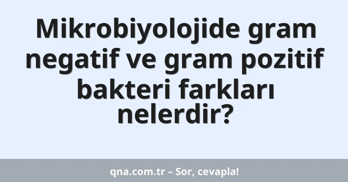 Mikrobiyolojide gram negatif ve gram pozitif bakteri farkları nelerdir?