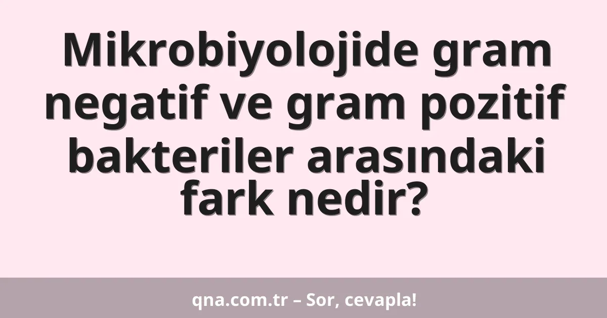 Mikrobiyolojide gram negatif ve gram pozitif bakteriler arasındaki fark nedir?