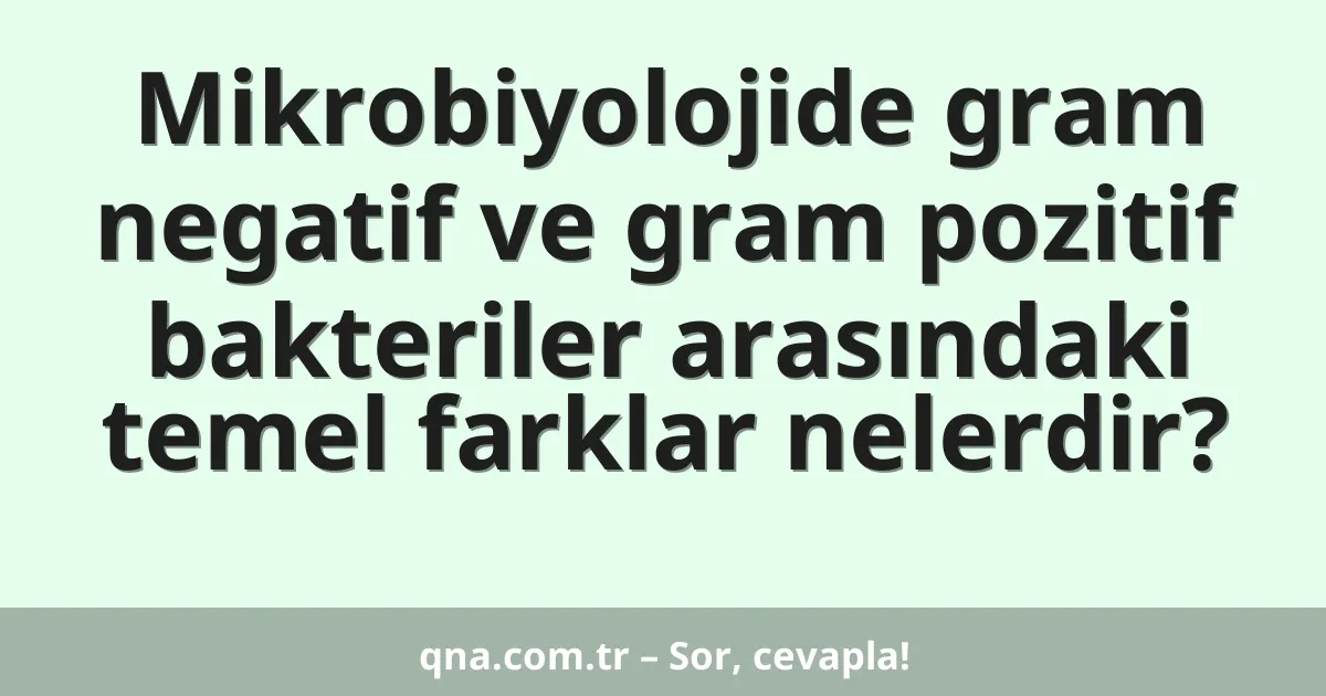 Mikrobiyolojide gram negatif ve gram pozitif bakteriler arasındaki temel farklar nelerdir?