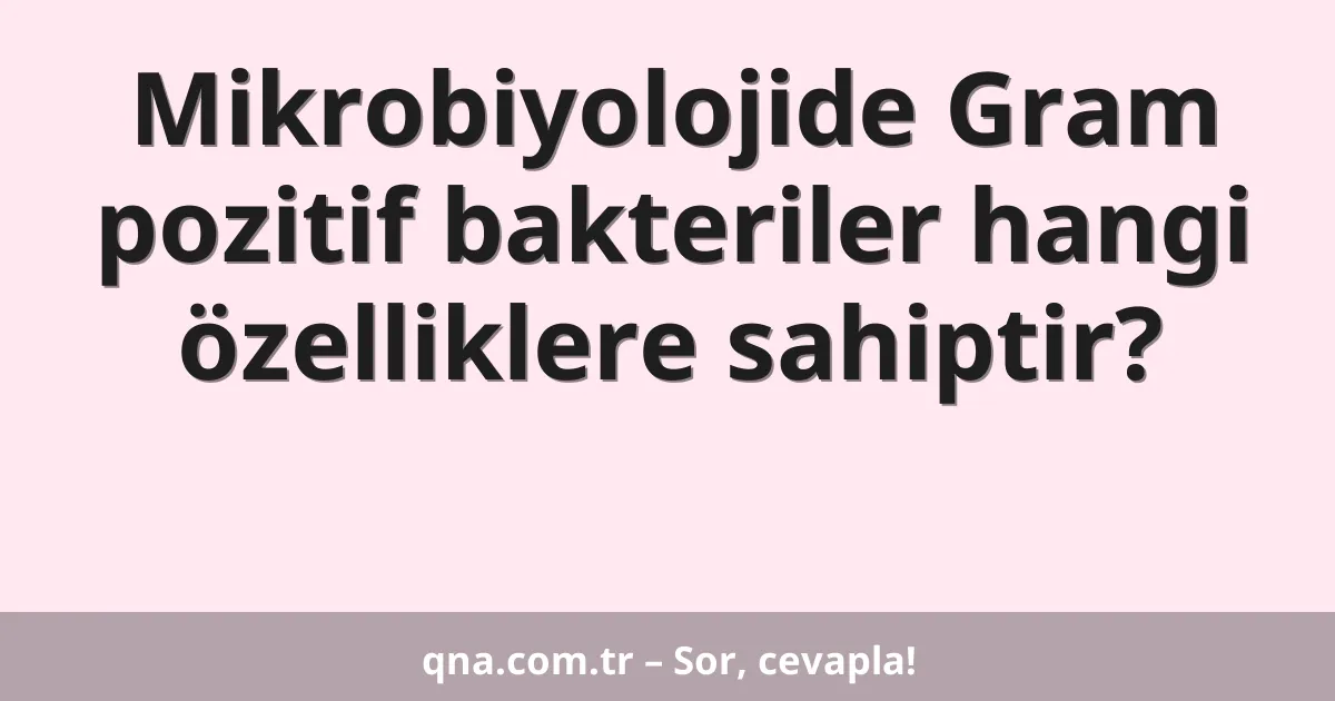 Mikrobiyolojide Gram pozitif bakteriler hangi özelliklere sahiptir?