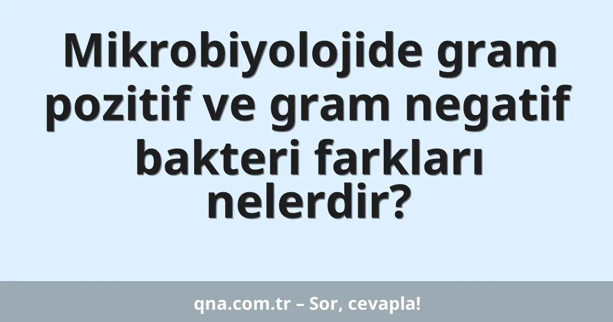Mikrobiyolojide gram pozitif ve gram negatif bakteri farkları nelerdir?