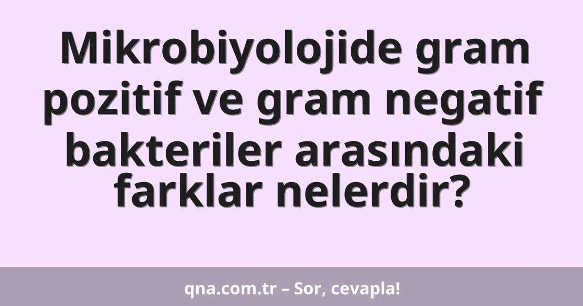 Mikrobiyolojide gram pozitif ve gram negatif bakteriler arasındaki farklar nelerdir?