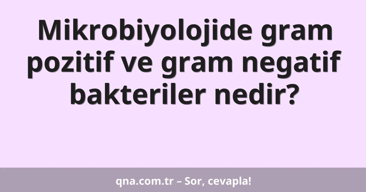 Mikrobiyolojide gram pozitif ve gram negatif bakteriler nedir?
