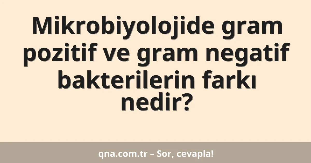 Mikrobiyolojide gram pozitif ve gram negatif bakterilerin farkı nedir?