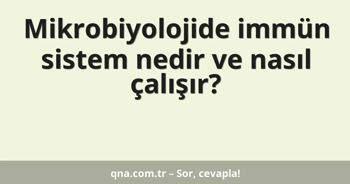 Mikrobiyolojide immün sistem nedir ve nasıl çalışır?