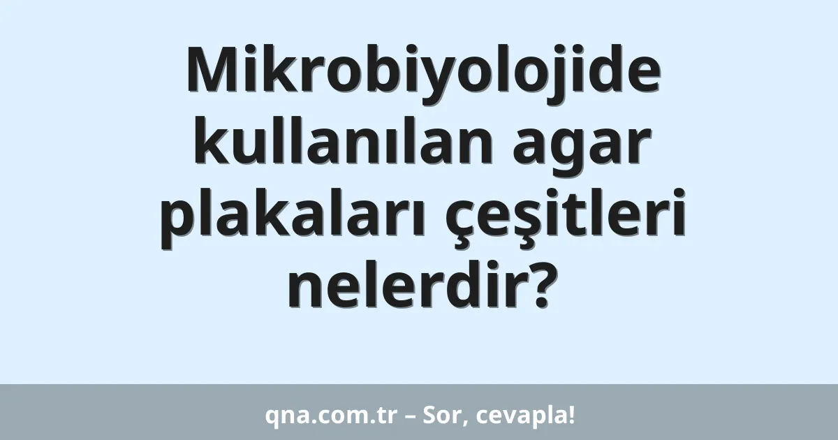 Mikrobiyolojide kullanılan agar plakaları çeşitleri nelerdir?