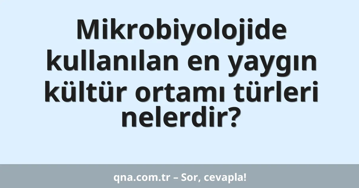 Mikrobiyolojide kullanılan en yaygın kültür ortamı türleri nelerdir?