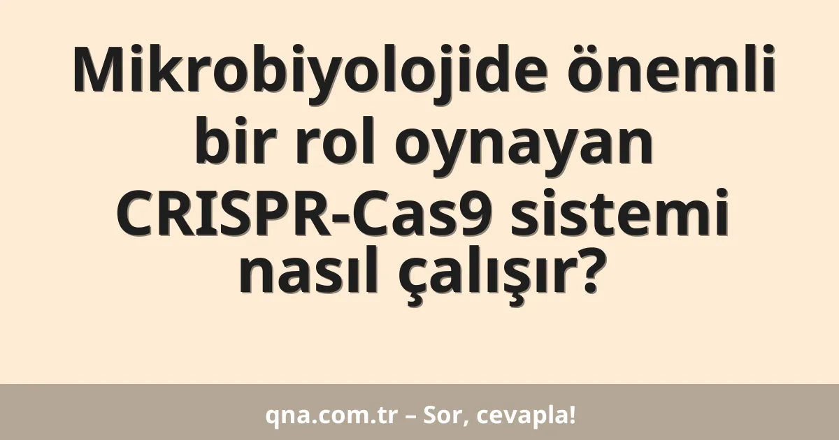 Mikrobiyolojide önemli bir rol oynayan CRISPR-Cas9 sistemi nasıl çalışır?