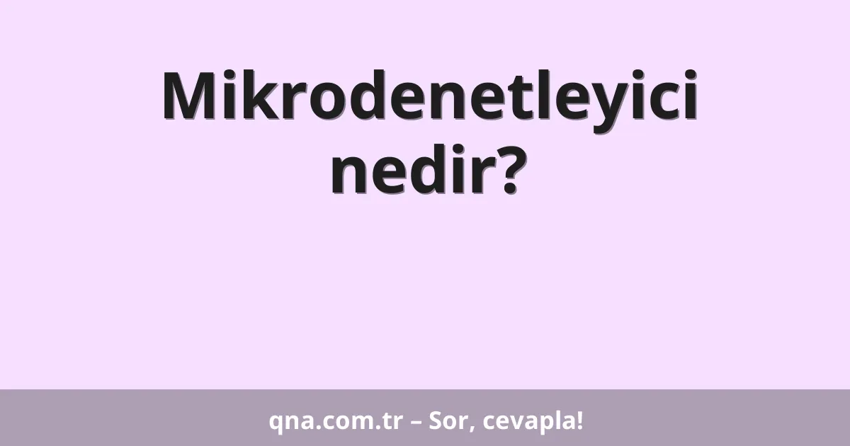 Mikrodenetleyici nedir?